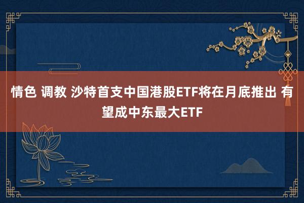 情色 调教 沙特首支中国港股ETF将在月底推出 有望成中东最大ETF