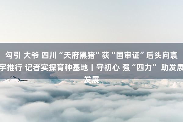 勾引 大爷 四川“天府黑猪”获“国审证”后头向寰宇推行 记者实探育种基地丨守初心 强“四力” 助发展