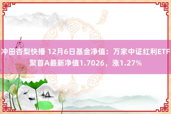 冲田杏梨快播 12月6日基金净值：万家中证红利ETF聚首A最新净值1.7026，涨1.27%