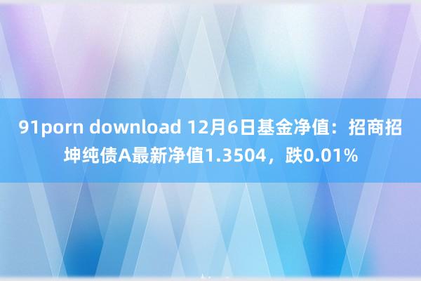 91porn download 12月6日基金净值：招商招坤纯债A最新净值1.3504，跌0.01%