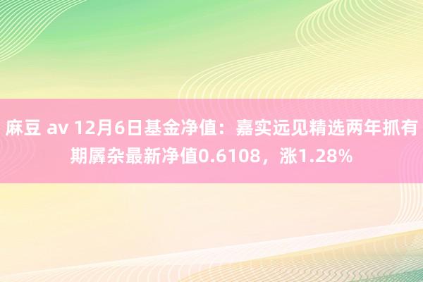 麻豆 av 12月6日基金净值：嘉实远见精选两年抓有期羼杂最新净值0.6108，涨1.28%
