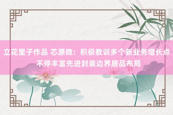 立花里子作品 芯源微：积极教训多个新业务增长点  不停丰富先进封装边界居品布局