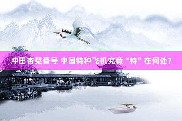 冲田杏梨番号 中国特种飞机究竟“特”在何处？