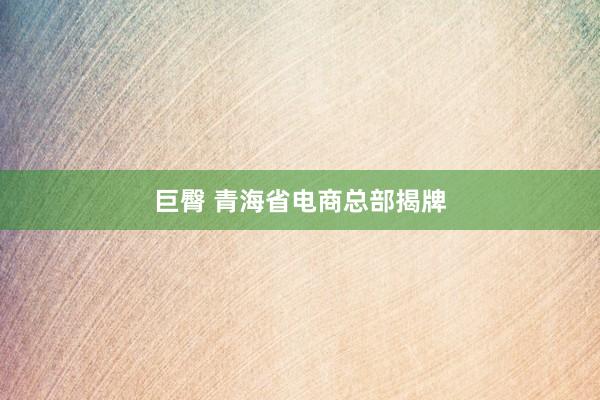 巨臀 青海省电商总部揭牌