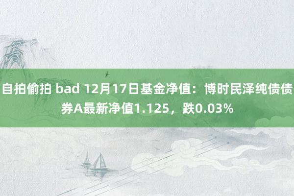 自拍偷拍 bad 12月17日基金净值：博时民泽纯债债券A最新净值1.125，跌0.03%