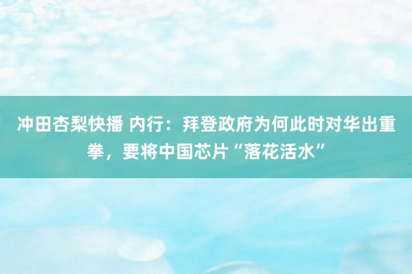冲田杏梨快播 内行：拜登政府为何此时对华出重拳，要将中国芯片“落花活水”