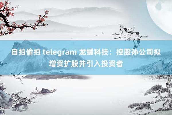 自拍偷拍 telegram 龙蟠科技：控股孙公司拟增资扩股并引入投资者