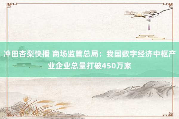 冲田杏梨快播 商场监管总局：我国数字经济中枢产业企业总量打破450万家