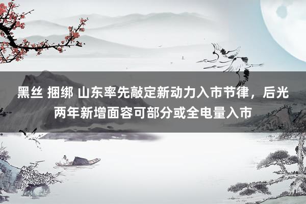 黑丝 捆绑 山东率先敲定新动力入市节律，后光两年新增面容可部分或全电量入市
