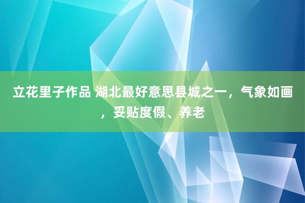 立花里子作品 湖北最好意思县城之一，气象如画，妥贴度假、养老