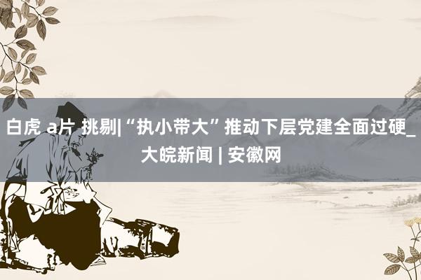 白虎 a片 挑剔|“执小带大”推动下层党建全面过硬_大皖新闻 | 安徽网