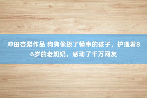 冲田杏梨作品 狗狗像极了懂事的孩子，护理着86岁的老奶奶，感动了千万网友