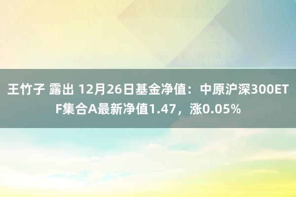 王竹子 露出 12月26日基金净值：中原沪深300ETF集合A最新净值1.47，涨0.05%