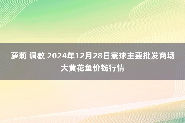 萝莉 调教 2024年12月28日寰球主要批发商场大黄花鱼价钱行情