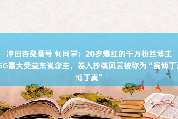 冲田杏梨番号 何同学：20岁爆红的千万粉丝博主，5G最大受益东说念主，卷入抄袭风云被称为“赛博丁真”