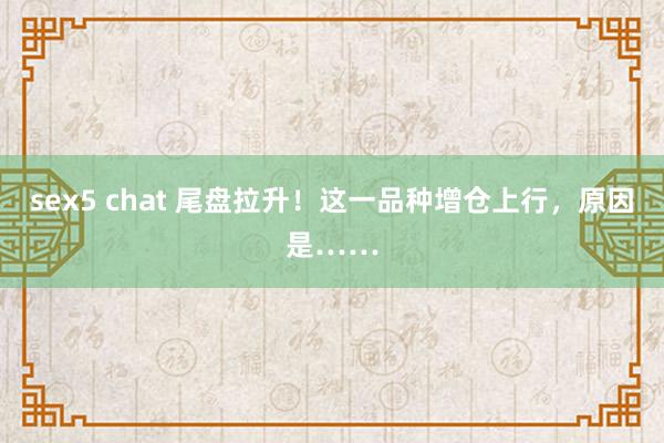 sex5 chat 尾盘拉升！这一品种增仓上行，原因是……
