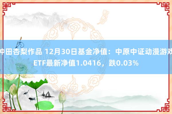 冲田杏梨作品 12月30日基金净值：中原中证动漫游戏ETF最新净值1.0416，跌0.03%