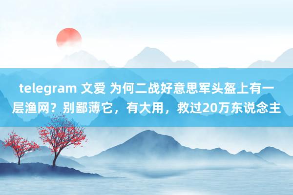 telegram 文爱 为何二战好意思军头盔上有一层渔网？别鄙薄它，有大用，救过20万东说念主