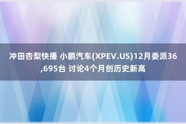 冲田杏梨快播 小鹏汽车(XPEV.US)12月委派36，695台 讨论4个月创历史新高
