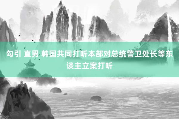 勾引 直男 韩国共同打听本部对总统警卫处长等东谈主立案打听