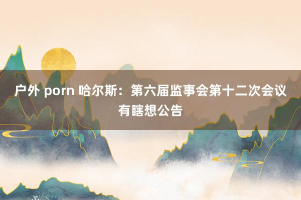 户外 porn 哈尔斯：第六届监事会第十二次会议有瞎想公告