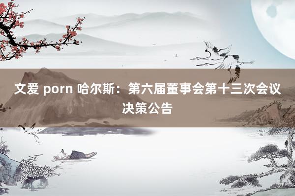 文爱 porn 哈尔斯：第六届董事会第十三次会议决策公告