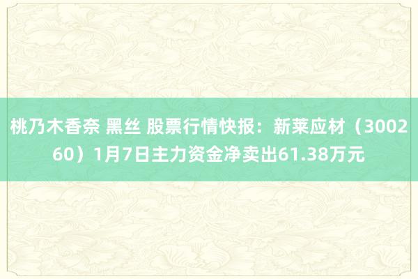 桃乃木香奈 黑丝 股票行情快报：新莱应材（300260）1月7日主力资金净卖出61.38万元
