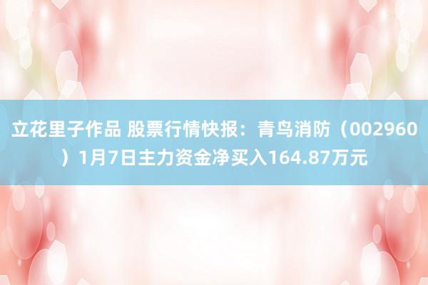 立花里子作品 股票行情快报：青鸟消防（002960）1月7日主力资金净买入164.87万元