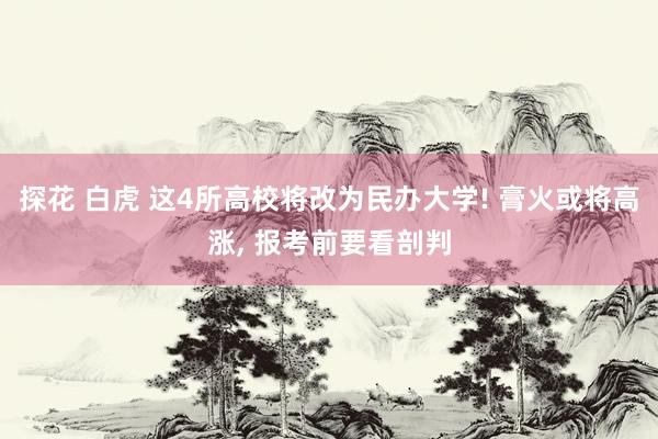 探花 白虎 这4所高校将改为民办大学! 膏火或将高涨， 报考前要看剖判