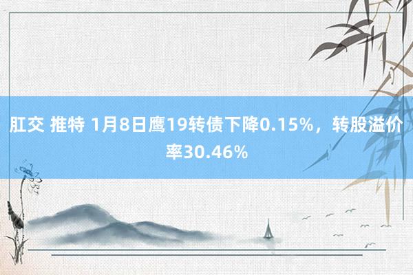 肛交 推特 1月8日鹰19转债下降0.15%，转股溢价率30.46%