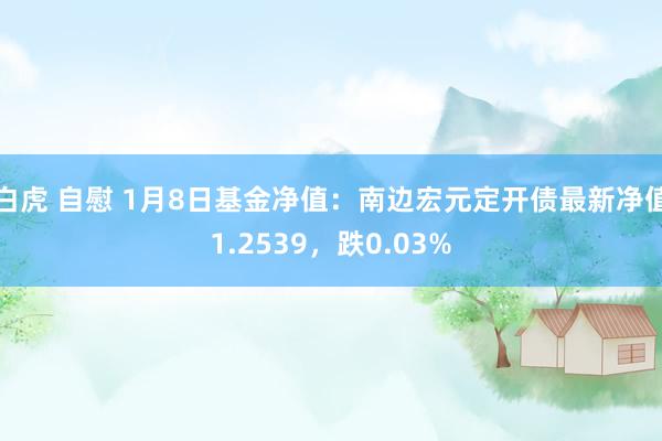 白虎 自慰 1月8日基金净值：南边宏元定开债最新净值1.2539，跌0.03%
