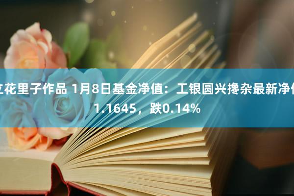 立花里子作品 1月8日基金净值：工银圆兴搀杂最新净值1.1645，跌0.14%