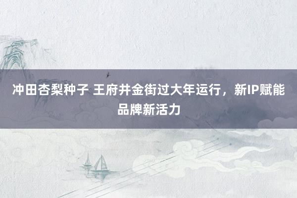 冲田杏梨种子 王府井金街过大年运行，新IP赋能品牌新活力