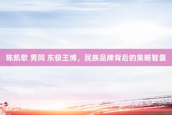 陈凯歌 男同 东极王博，民族品牌背后的策略智囊