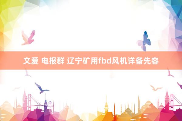文爱 电报群 辽宁矿用fbd风机详备先容