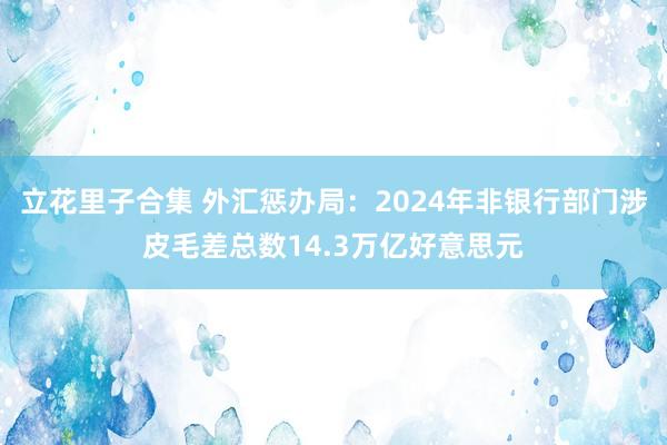 立花里子合集 外汇惩办局：2024年非银行部门涉皮毛差总数14.3万亿好意思元