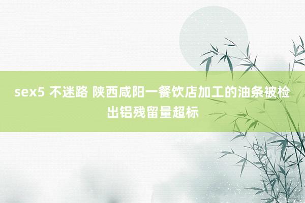 sex5 不迷路 陕西咸阳一餐饮店加工的油条被检出铝残留量超标