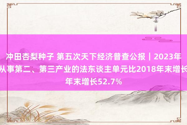 冲田杏梨种子 第五次天下经济普查公报｜2023年末天下从事第二、第三产业的法东谈主单元比2018年末增长52.7%