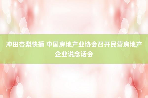 冲田杏梨快播 中国房地产业协会召开民营房地产企业说念话会