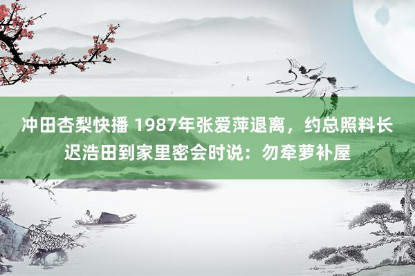 冲田杏梨快播 1987年张爱萍退离，约总照料长迟浩田到家里密会时说：勿牵萝补屋