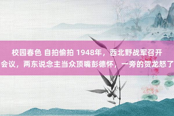 校园春色 自拍偷拍 1948年，西北野战军召开会议，两东说念主当众顶嘴彭德怀，一旁的贺龙怒了