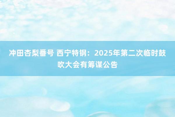 冲田杏梨番号 西宁特钢：2025年第二次临时鼓吹大会有筹谋公告