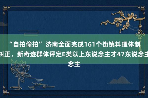“自拍偷拍” 济南全面完成161个街镇料理体制纠正，新奇迹群体评定E类以上东说念主才47东说念主