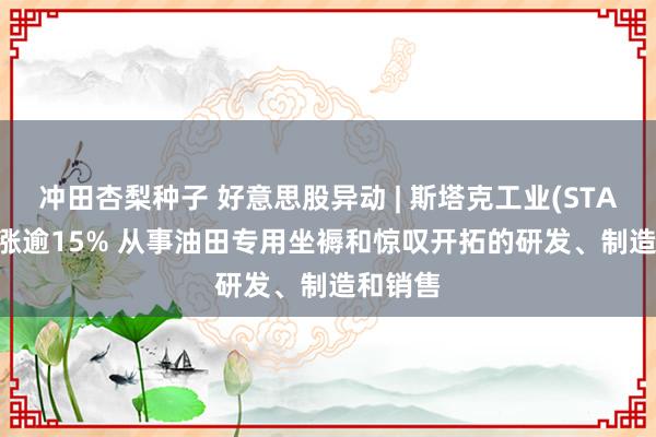 冲田杏梨种子 好意思股异动 | 斯塔克工业(STAK.US)涨逾15% 从事油田专用坐褥和惊叹开拓的研发、制造和销售