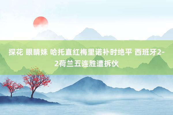 探花 眼睛妹 哈托直红梅里诺补时绝平 西班牙2-2荷兰五连胜遭拆伙