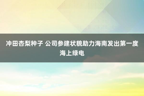 冲田杏梨种子 公司参建状貌助力海南发出第一度海上绿电