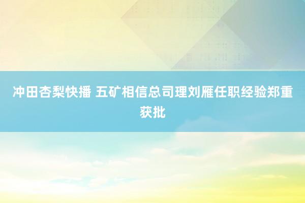 冲田杏梨快播 五矿相信总司理刘雁任职经验郑重获批