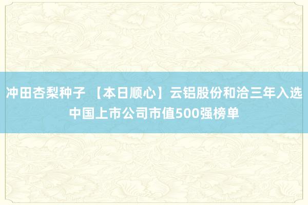 冲田杏梨种子 【本日顺心】云铝股份和洽三年入选中国上市公司市值500强榜单