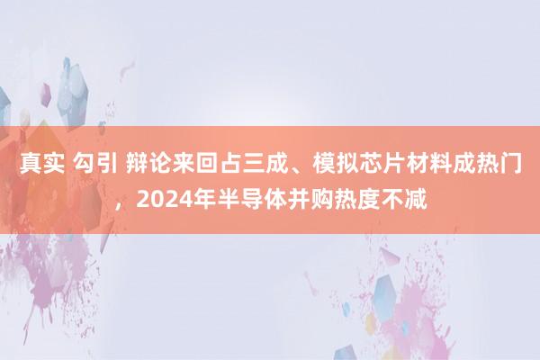 真实 勾引 辩论来回占三成、模拟芯片材料成热门，2024年半导体并购热度不减