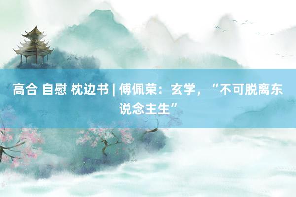 高合 自慰 枕边书 | 傅佩荣：玄学，“不可脱离东说念主生”